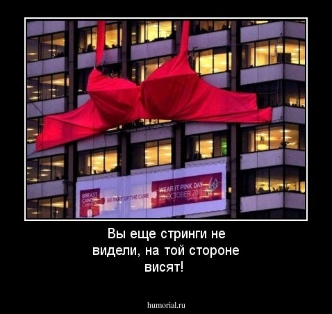 Вы еще стринги не видели, на той стороне висят!