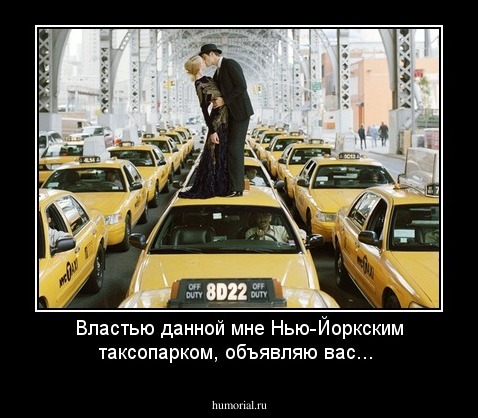 Властью данной мне Нью-Йоркским таксопарком, объявляю вас...