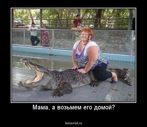 Мама, а возьмем его домой?