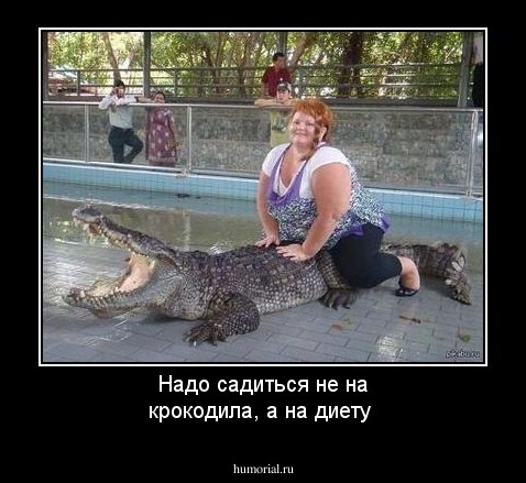 Надо садиться не на крокодила, а на диету