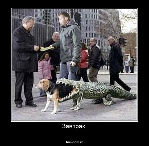 Завтрак.