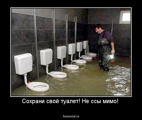 Сохрани свой туалет! Не ссы мимо! 