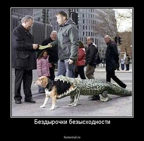 Бездырочки безысходности
