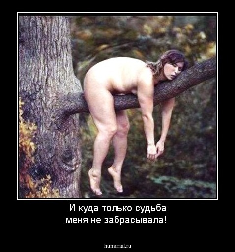 И куда только судьба меня не забрасывала!