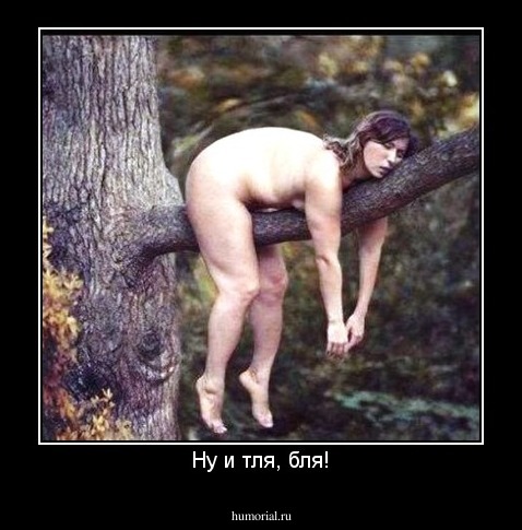 Ну и тля, бля!