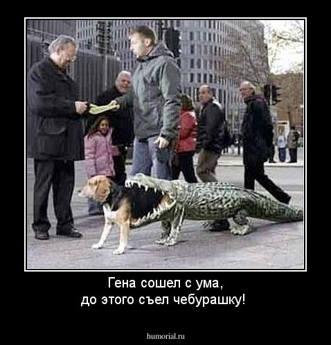 Гена сошел с ума, до этого съел чебурашку!