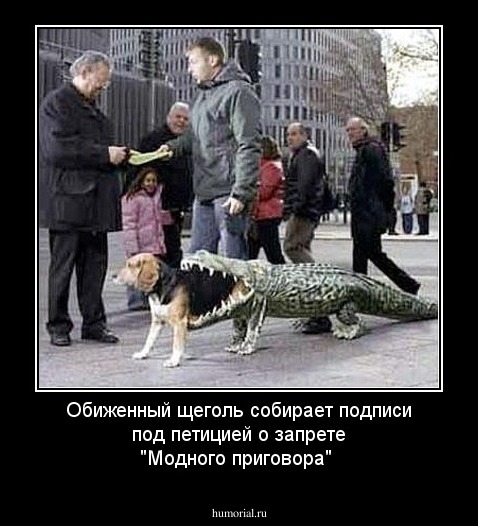 Обиженный щеголь собирает подписи под петицией о запрете "Модного приговора"