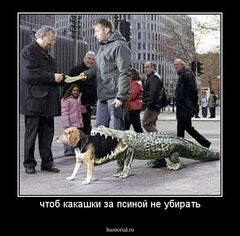 чтоб какашки за псиной не убирать