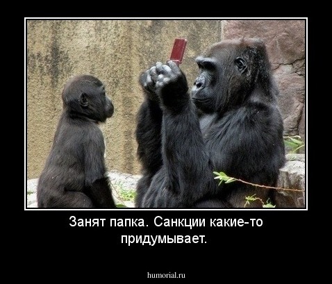 Занят папка. Санкции какие-то придумывает.