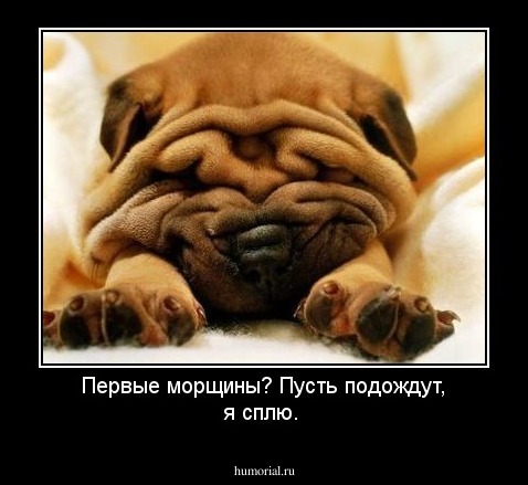 Первые морщины? Пусть подождут, я сплю.
