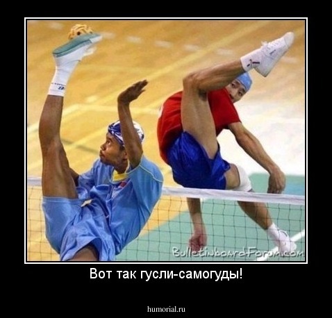 Вот так гусли-самогуды! Ноги сами в пляс идут!