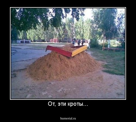 От, эти кроты...