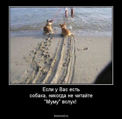 Если у Вас есть собака, никогда не читайте "Муму" вслух!