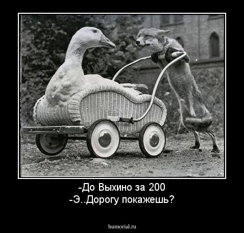 -До Выхино за 200
-Э..Дорогу покажешь?
