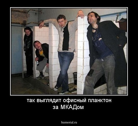 так выглядит офисный планктон за МКАДом