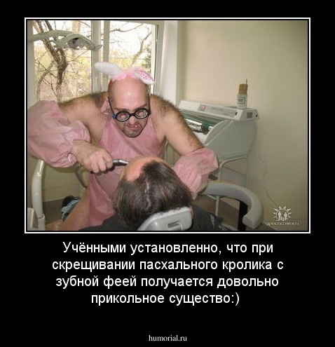 Учёнными установленно, что при скрещивании пасхального кролика с зубной феей получается довольно прикольное существо:)