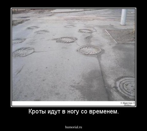 Кроты идут в ногу со временем.