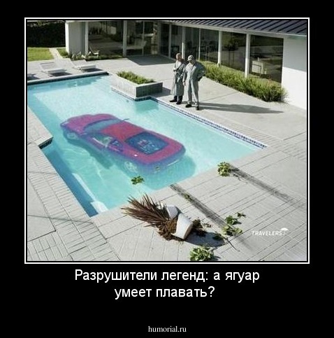 Разрушители легенд: а ягуар умеет плавать?
