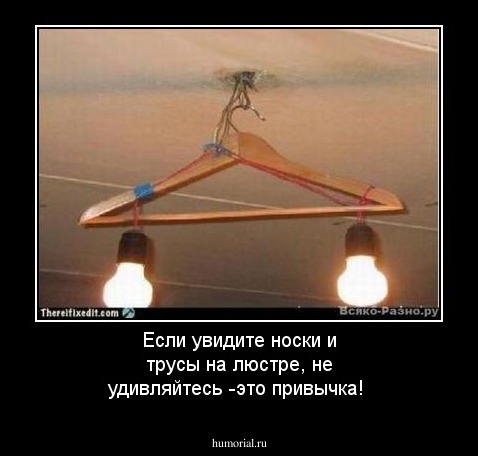 Если увидите носки и трусы на люстре, не удивляйтесь -это привычка!