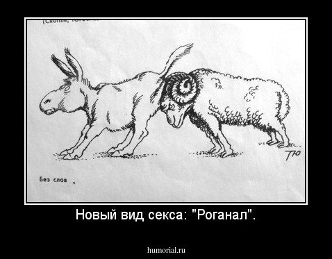 Новый вид секса: "Роганал".