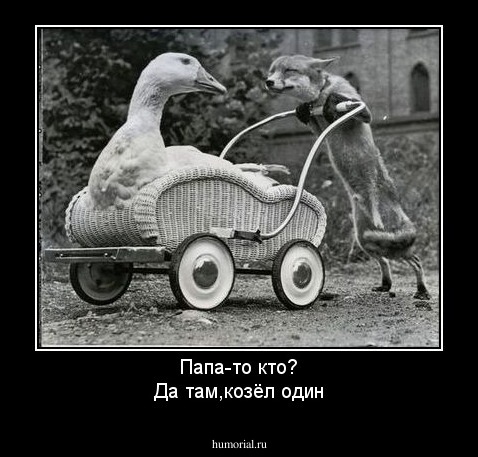 Папа-то кто?
Да там,козёл один