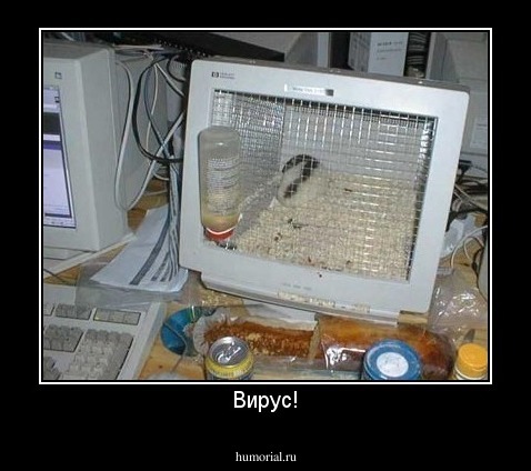 Вирус!