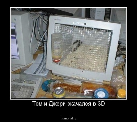 Том и Джери скачался в 3D