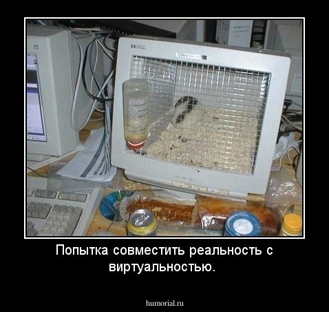 Попытка совместить реальность с виртуальностью.