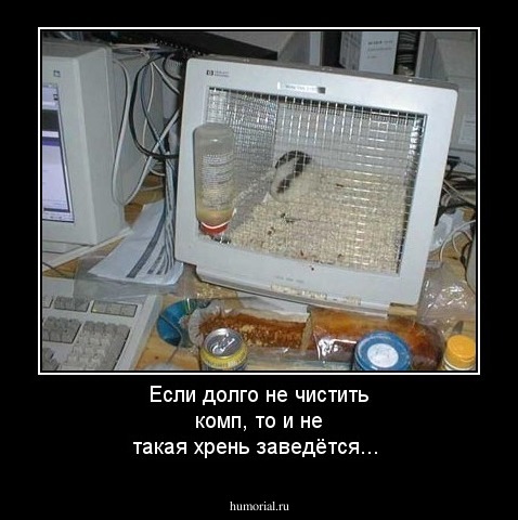 Если долго не чистить комп, то и не такая хрень заведётся...