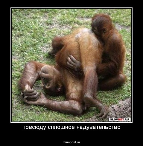 повсюду сплошное надувательство