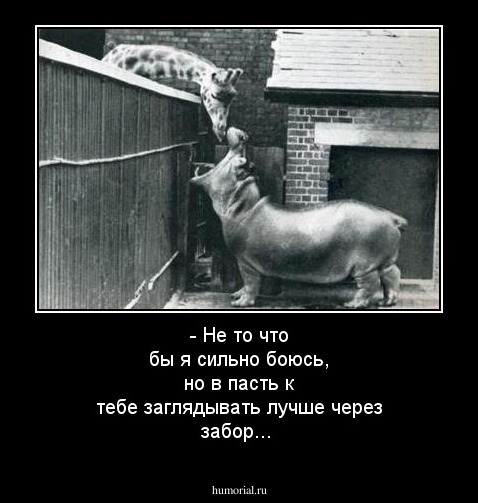 - Не то что бы я сильно боюсь, но в пасть к тебе заглядывать лучше через забор...