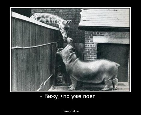 - Вижу, что уже поел...