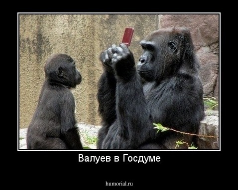 Валуев в Госдуме