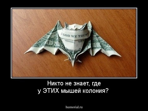 Никто не знает, где у ЭТИХ мышей колония?