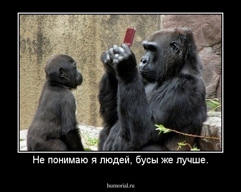 Не понимаю я людей, бусы же лучше.