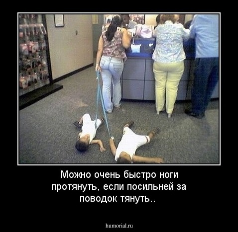 Можно очень быстро ноги протянуть,
 если посильней за поводок тянуть..