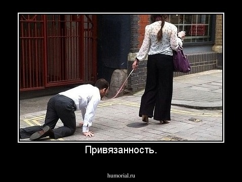 Привязанность.