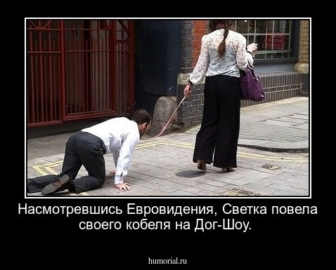 Насмотревшись Евровидения, Светка повела своего кобеля на Дог-Шоу.