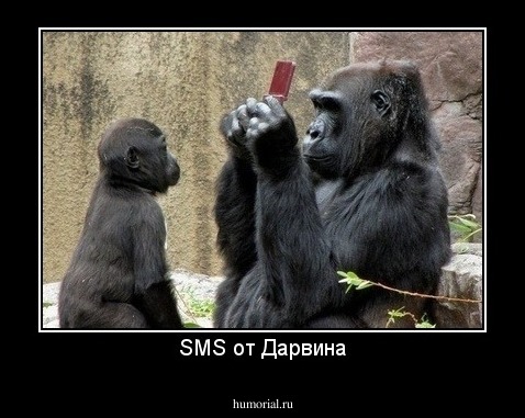 SMS от Дарвина