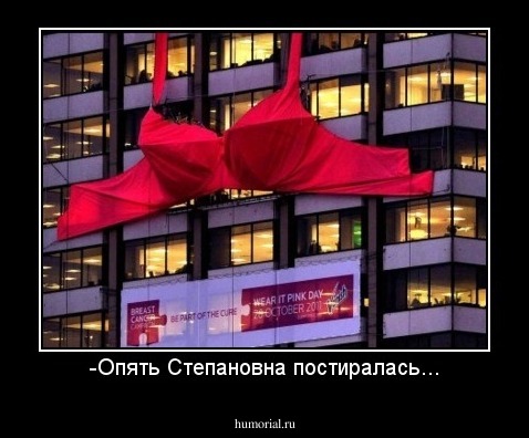 -Опять Степановна постиралась...