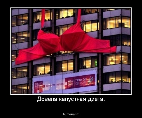 Довела капустная диета.