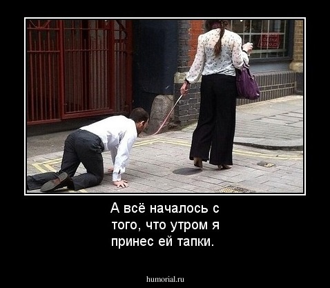 А всё началось с того, что утром я принес ей тапки.