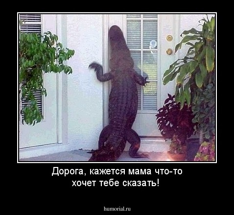 Дорога, кажется мама что-то хочет тебе сказать!