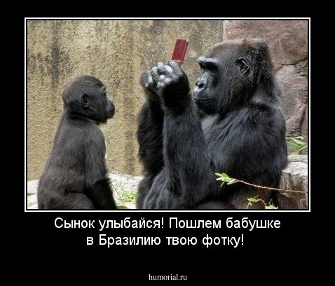 Сынок улыбайся! Пошлем бабушке в Бразилию твою фотку!