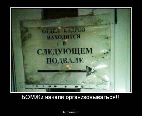 БОМЖи начали организовываться!!!