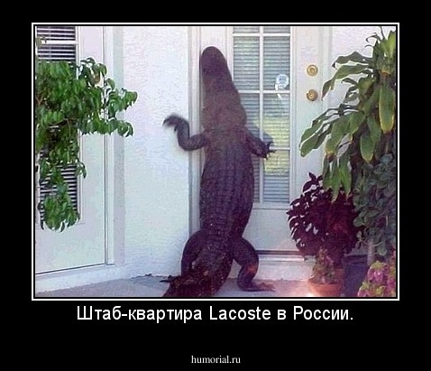 Штаб-квартира Lacoste в России.