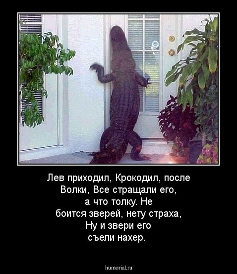 Лев приходил, Крокодил, после Волки,
Все стращали его, а что толку.
Не боится зверей, нету страха,
Ну и звери его съели нахер.