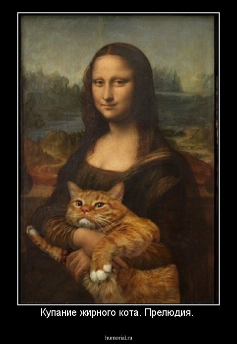 Купание жирного кота. Прелюдия. 