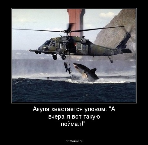 Акула хвастается уловом: "А вчера я вот такую поймал!"