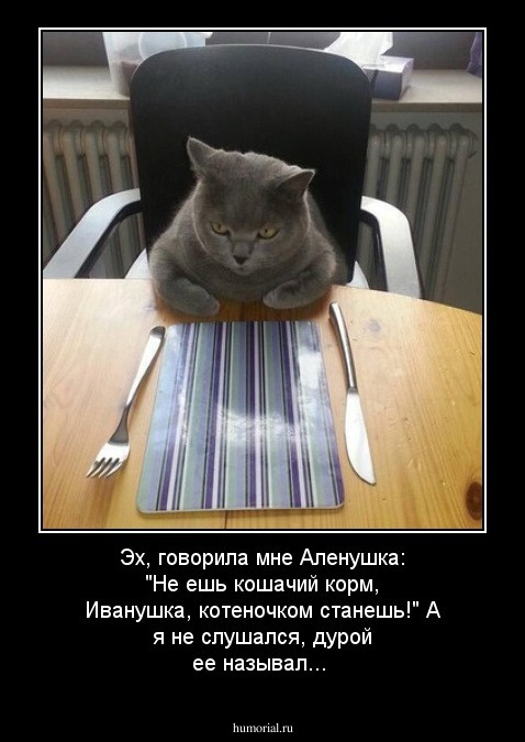 Эх, говорила мне Аленушка: "Не ешь кошачий корм, Иванушка, котеночком станешь!" А я не слушался, дурой ее называл...